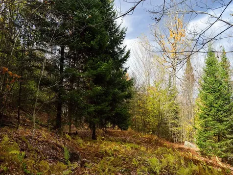 665 W Hill Road Wolcott VT 05680