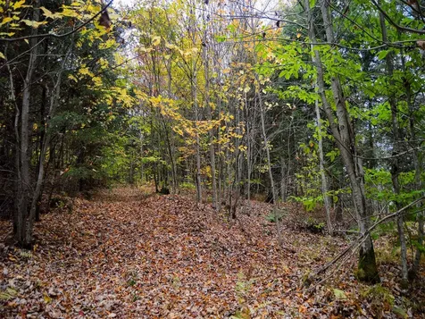 665 W Hill Road Wolcott VT 05680