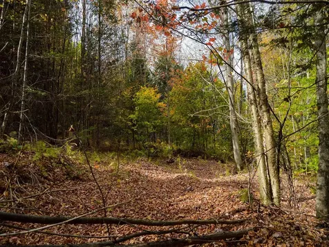 665 W Hill Road Wolcott VT 05680