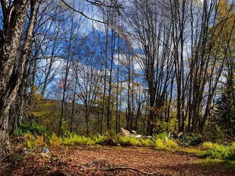 665 W Hill Road Wolcott VT 05680