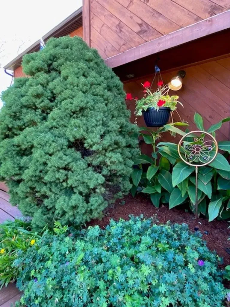 133 Timberlake Drive Colchester VT 05446