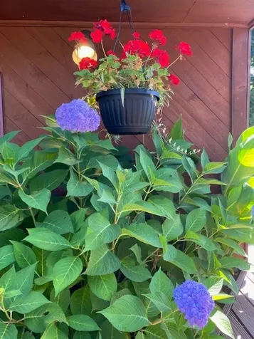 133 Timberlake Drive Colchester VT 05446