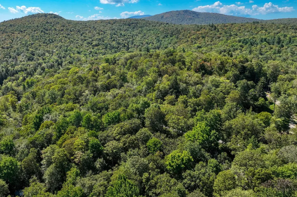 1-61 Hawk Spur Road Plymouth VT 05056