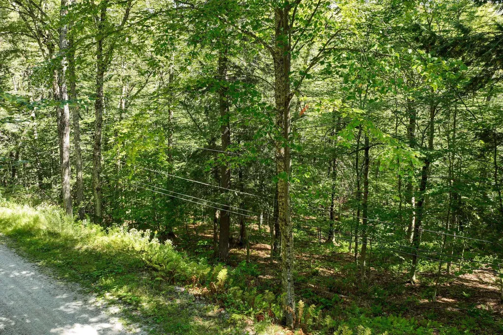 1-61 Hawk Spur Road Plymouth VT 05056