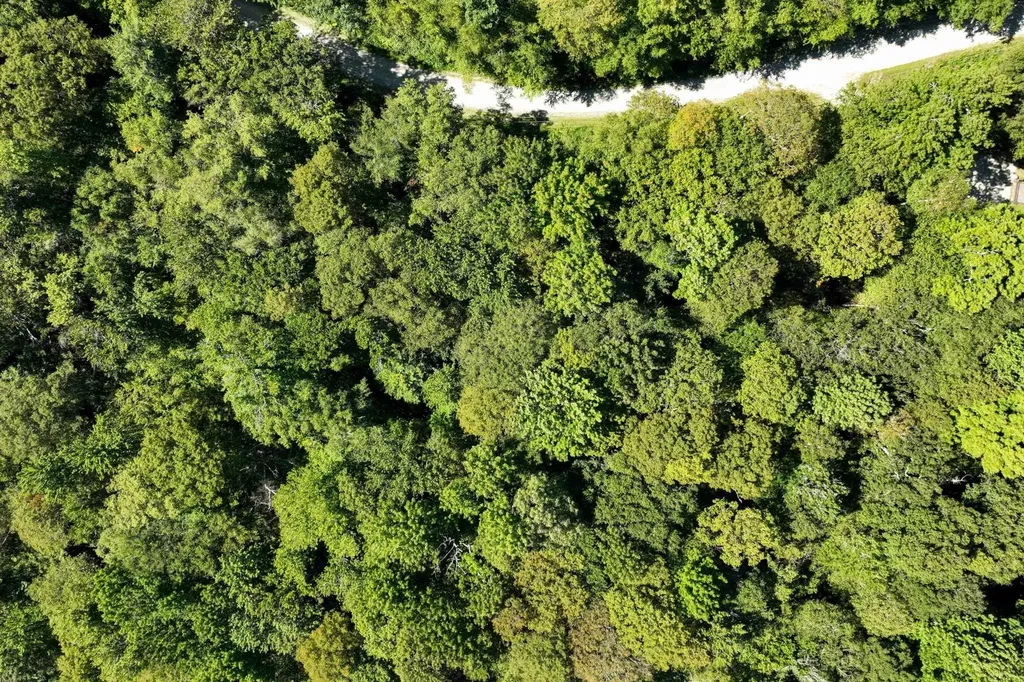 1-61 Hawk Spur Road Plymouth VT 05056