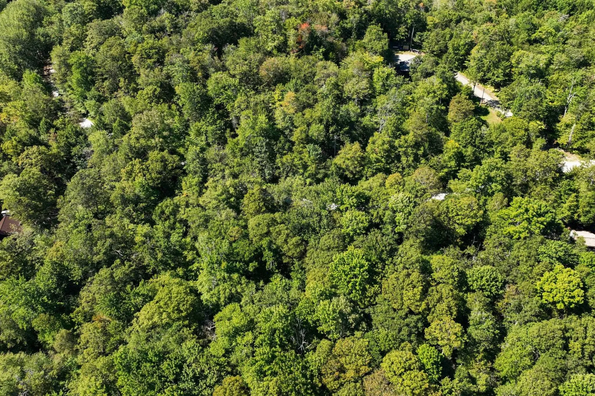 1-61 Hawk Spur Road Plymouth VT 05056