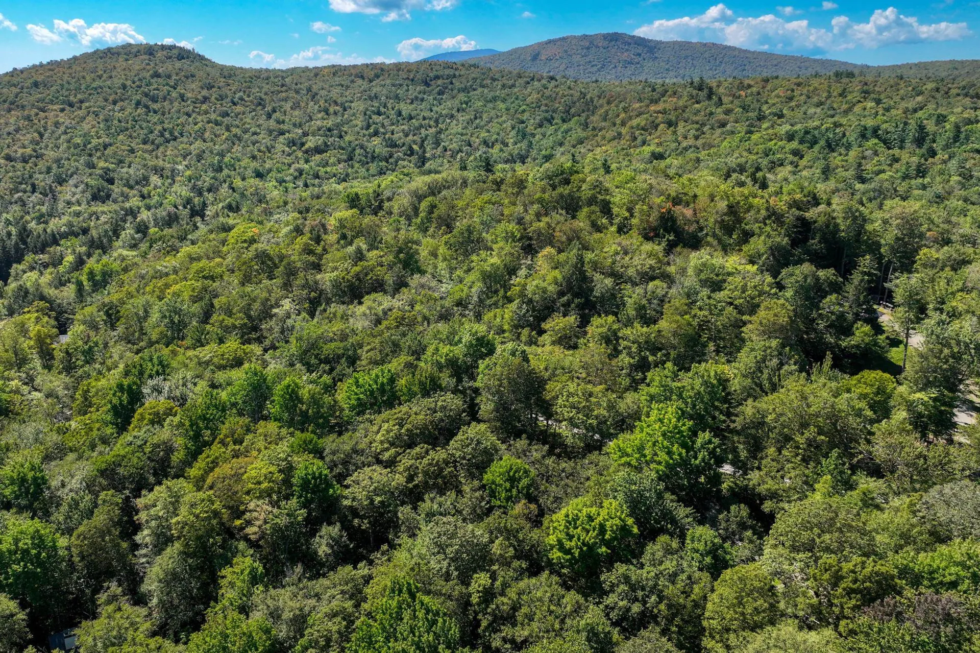 1-61 Hawk Spur Road Plymouth VT 05056