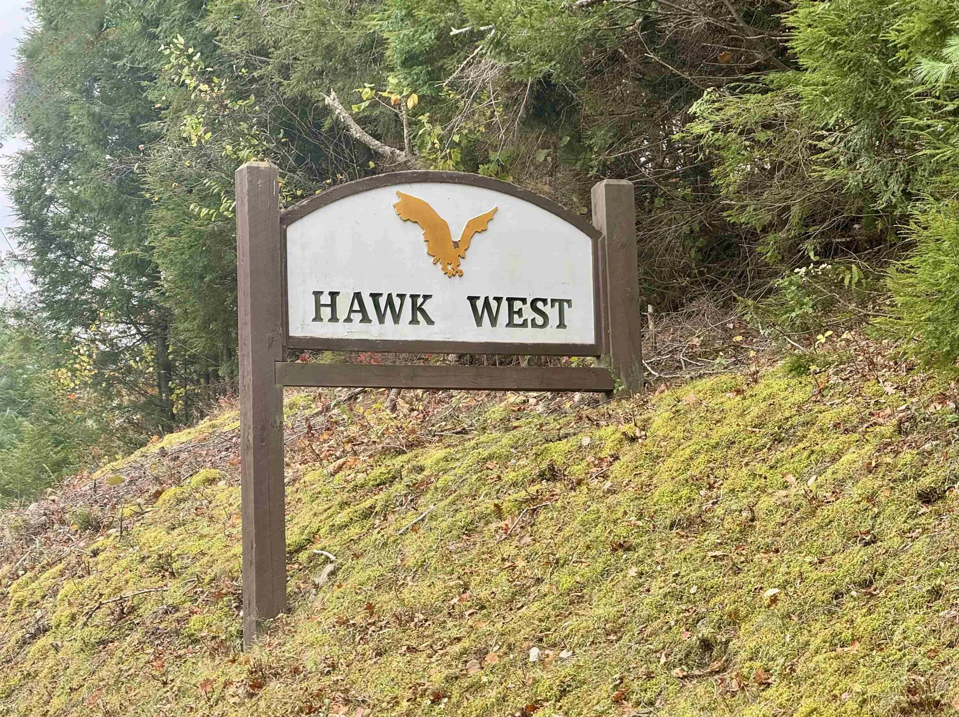 1-61 Hawk Spur Road Plymouth VT 05056