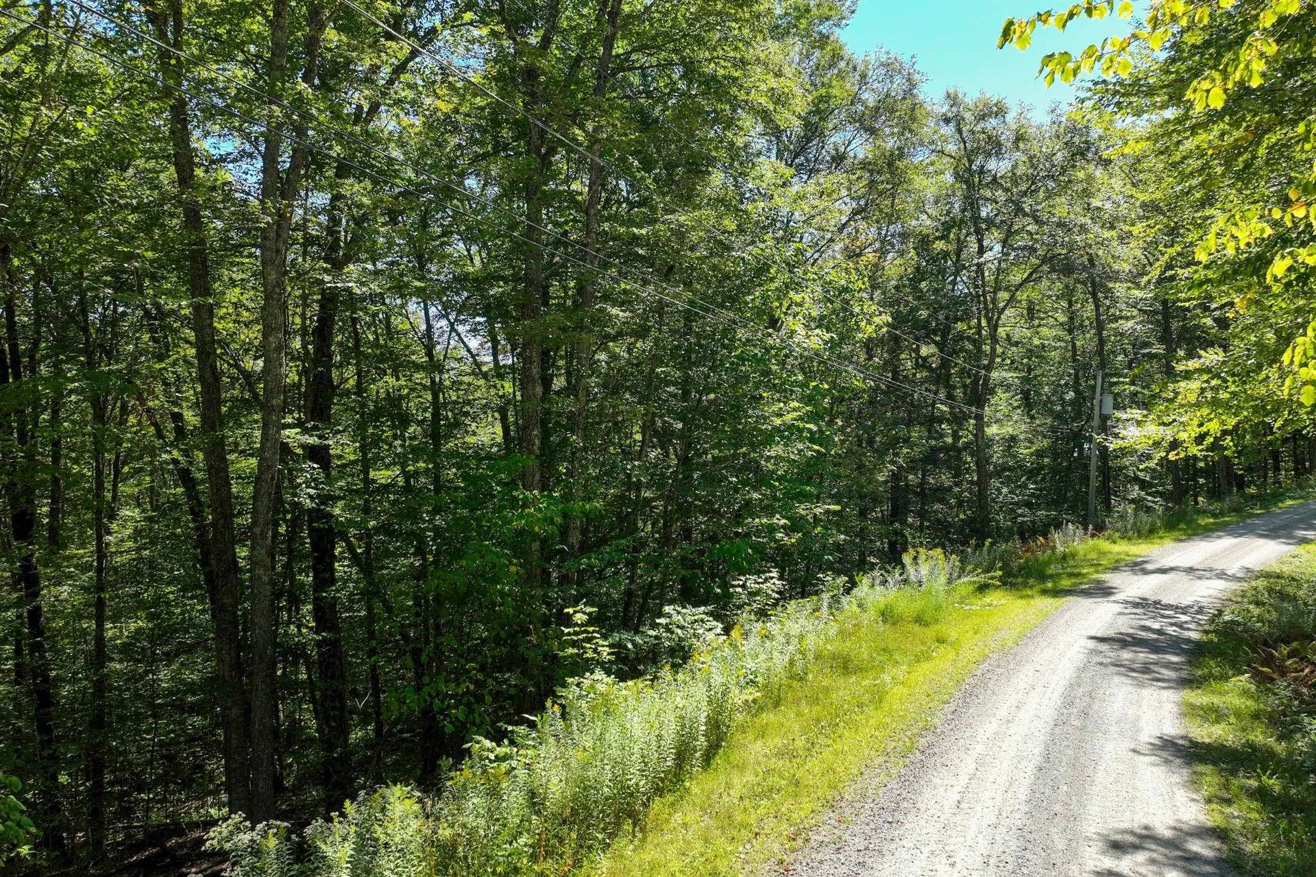 1-61 Hawk Spur Road Plymouth VT 05056