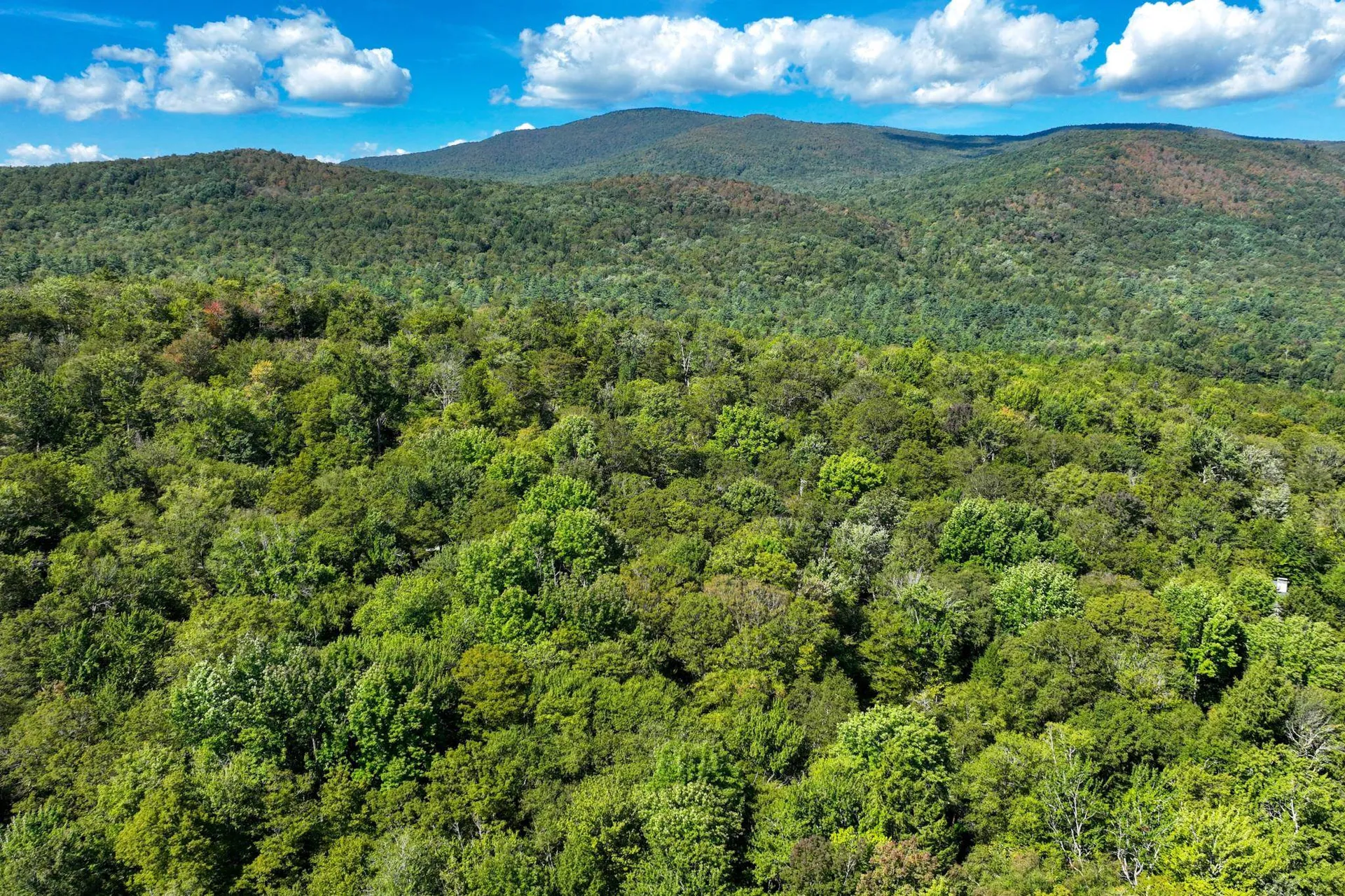 1-61 Hawk Spur Road Plymouth VT 05056