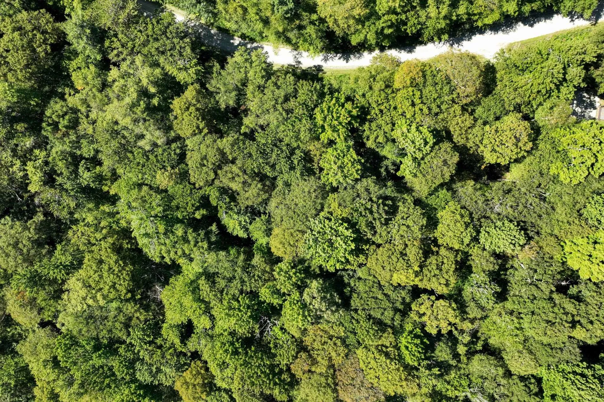 1-61 Hawk Spur Road Plymouth VT 05056