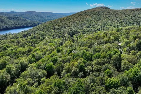 1-61 Hawk Spur Road Plymouth VT 05056