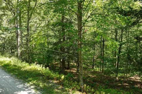 1-61 Hawk Spur Road Plymouth VT 05056