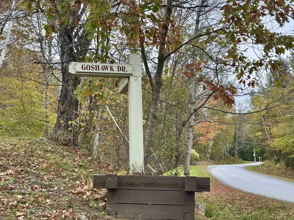 2-63 Goshawk Drive Plymouth VT 05056