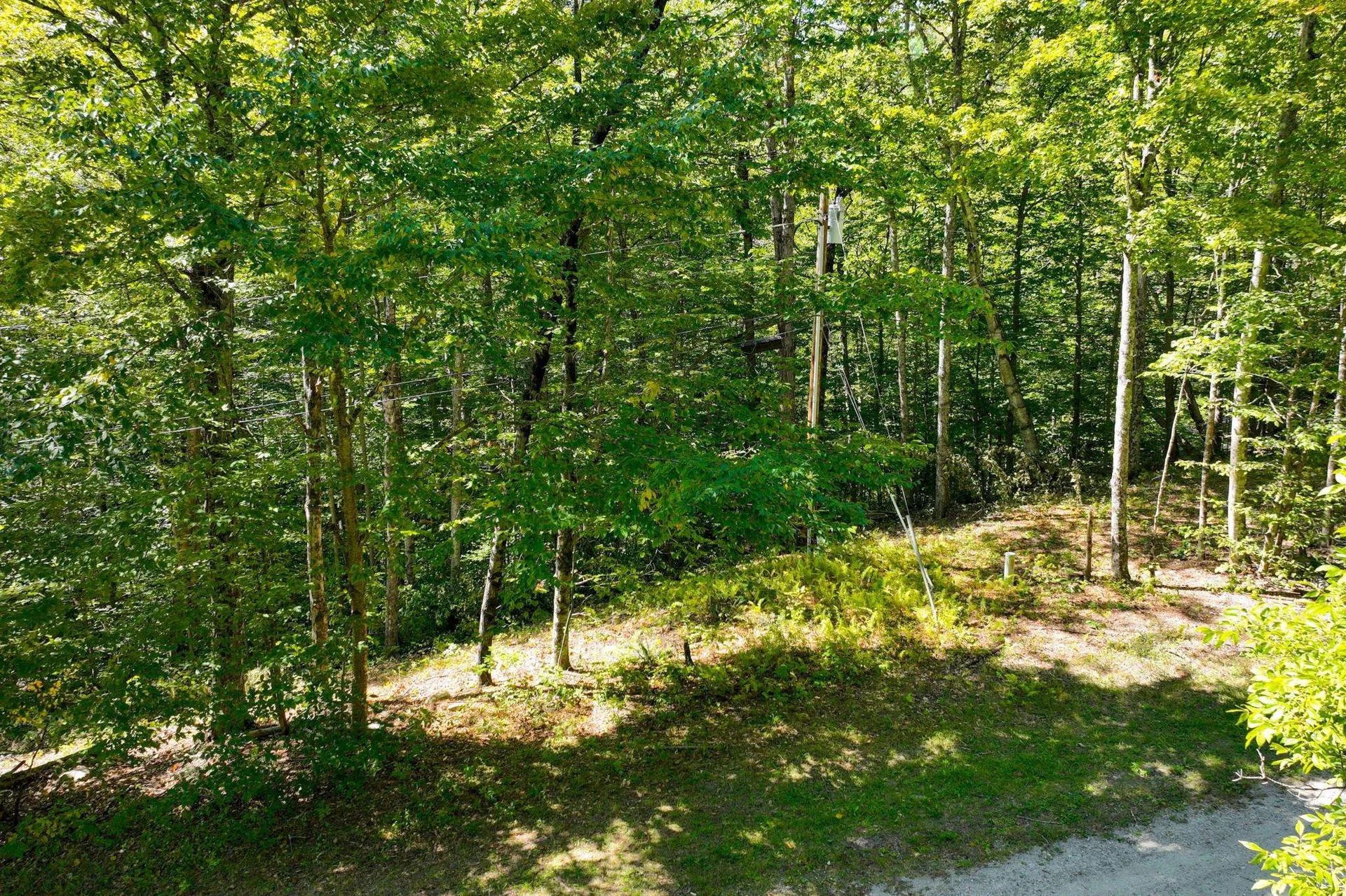 2-63 Goshawk Drive Plymouth VT 05056