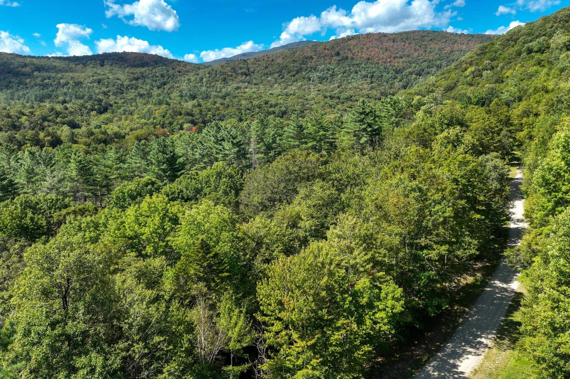 2-63 Goshawk Drive Plymouth VT 05056