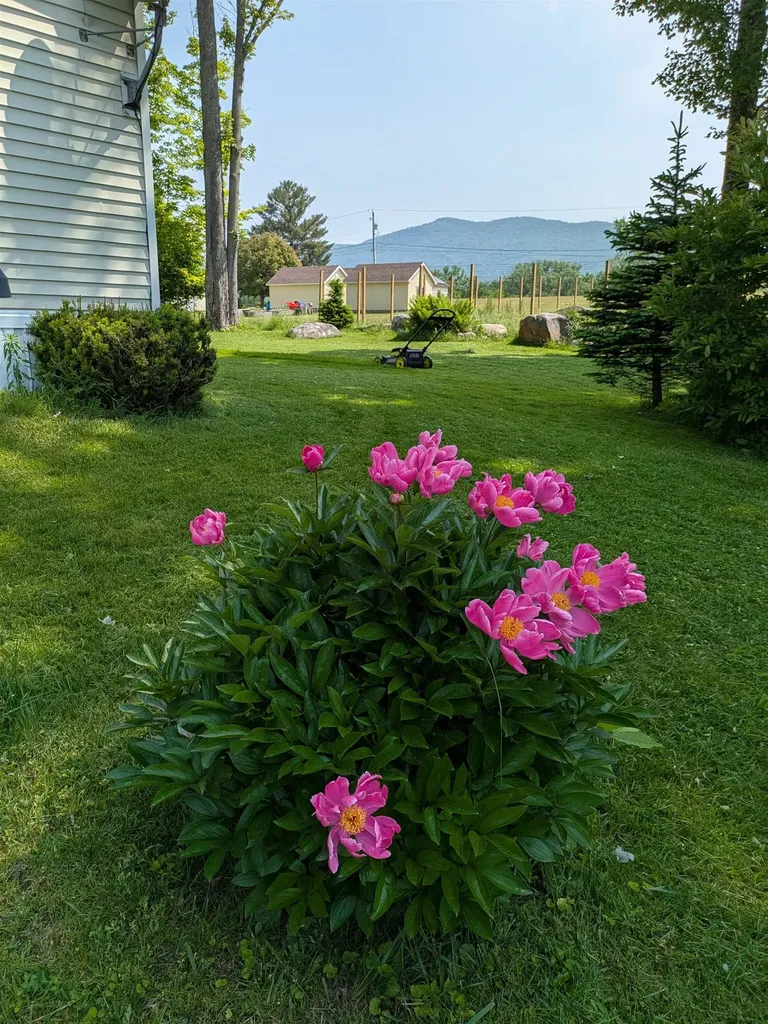 11 Prestons Park Rutland City VT 05701