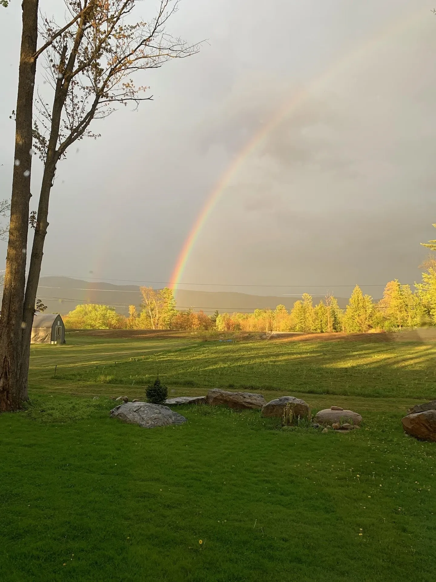 11 Prestons Park Rutland City VT 05701