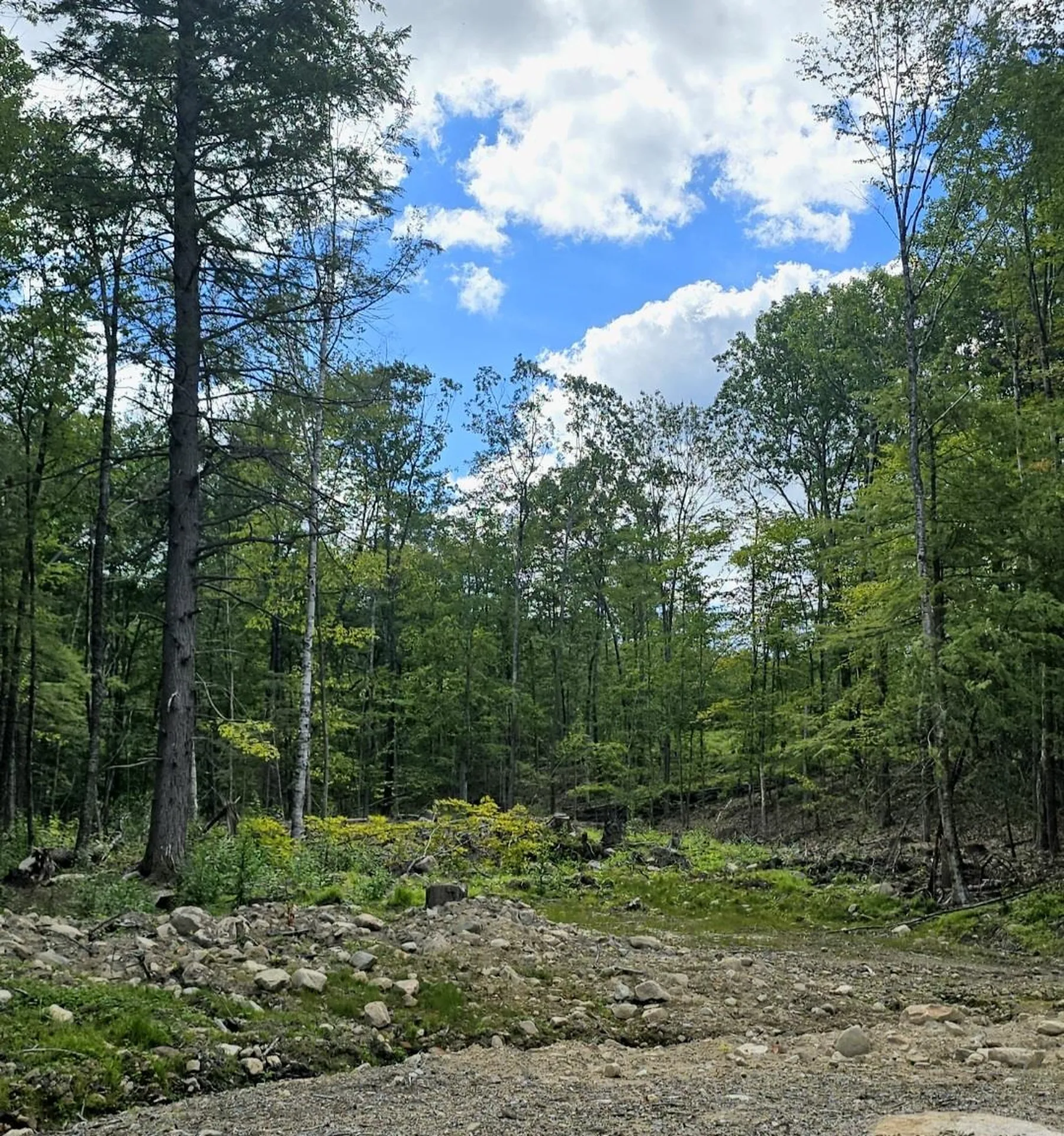 000 Garmish Drive New Durham NH 03855