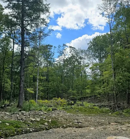 000 Garmish Drive New Durham NH 03855