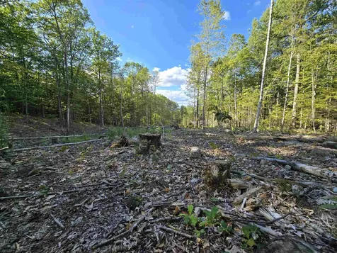 000 Garmish Drive New Durham NH 03855