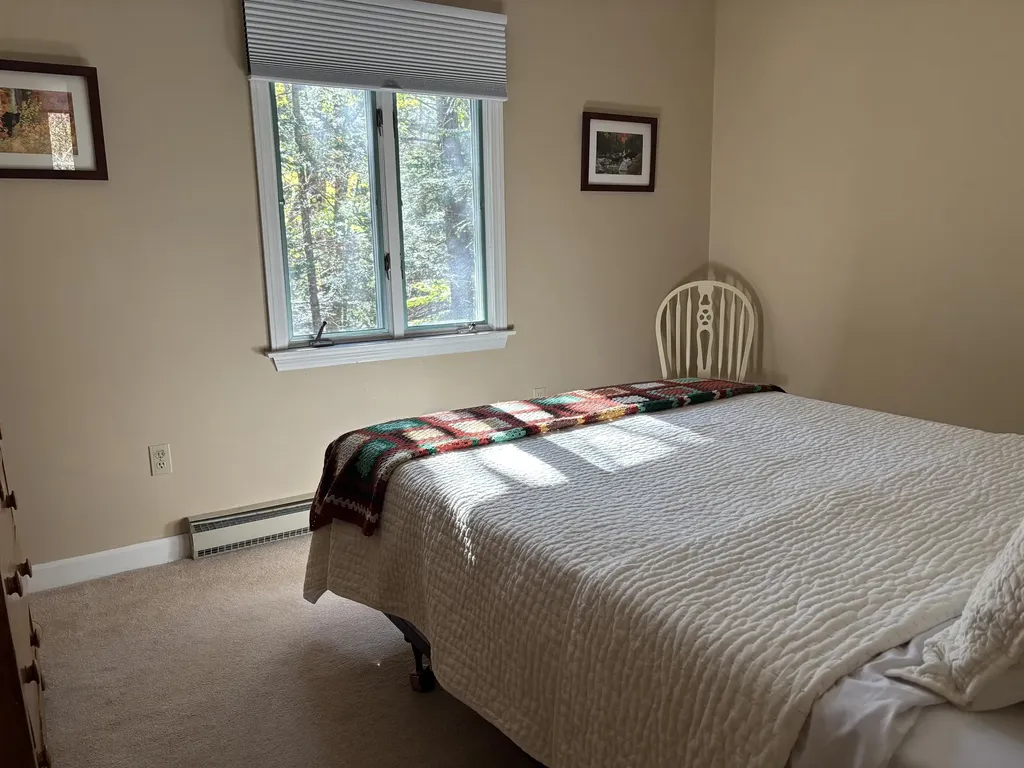 36 Tyler Spring Way Waterville Valley NH 03215