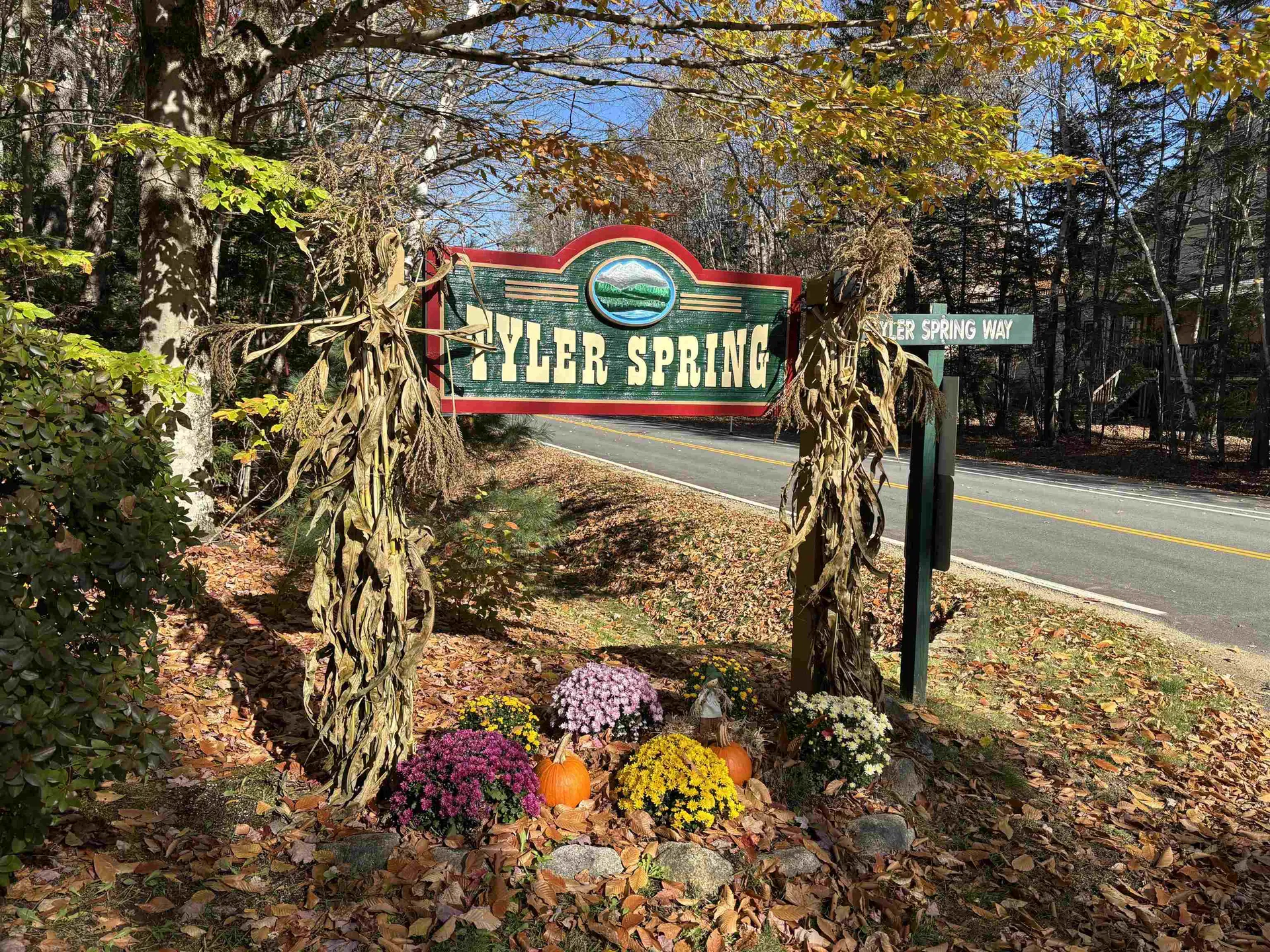 36 Tyler Spring Way Waterville Valley NH 03215