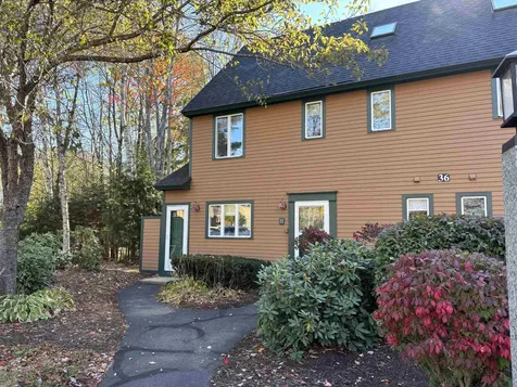 36 Tyler Spring Way Waterville Valley NH 03215