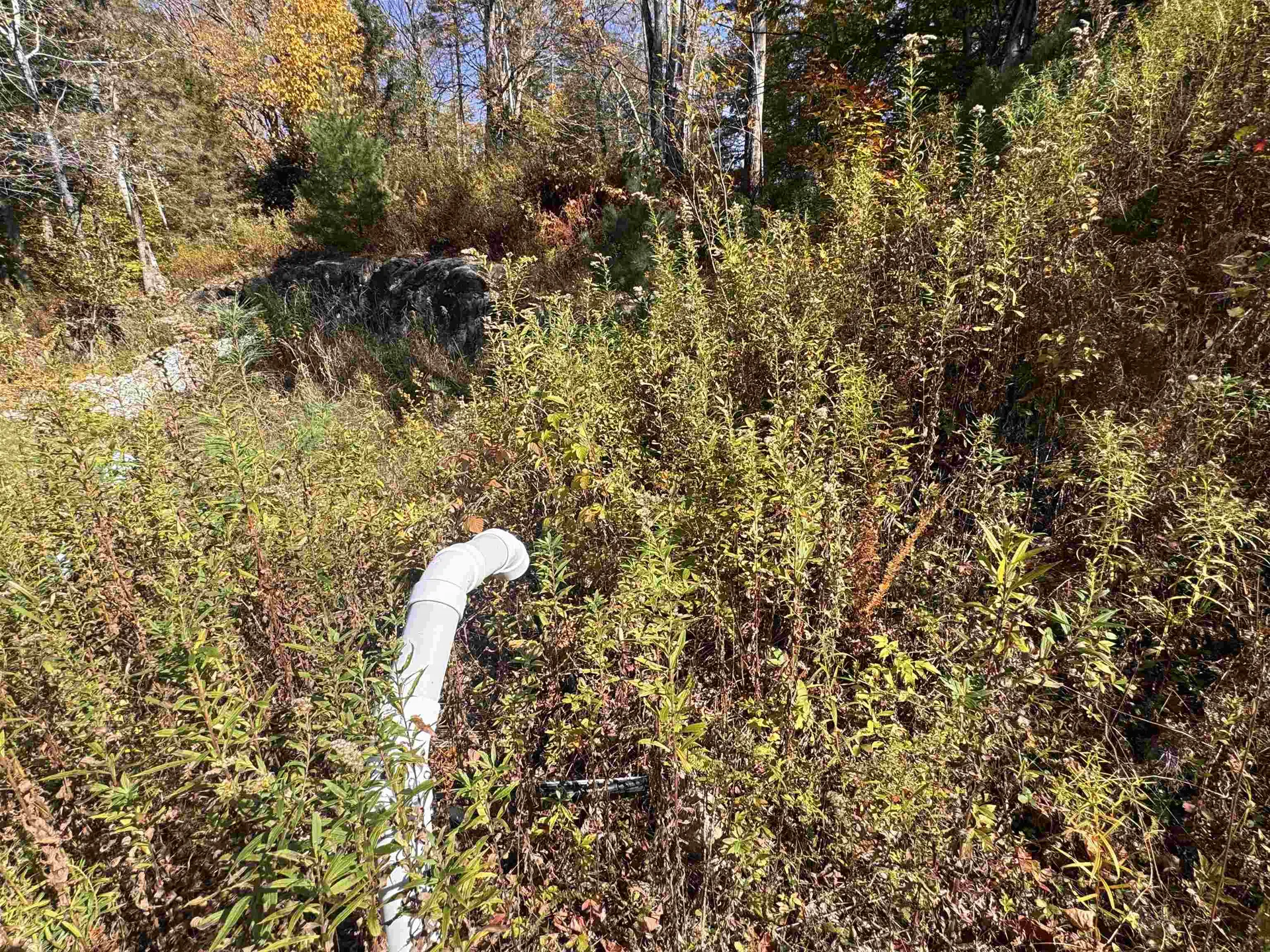 634 Lincoln Road Ripton VT 05766