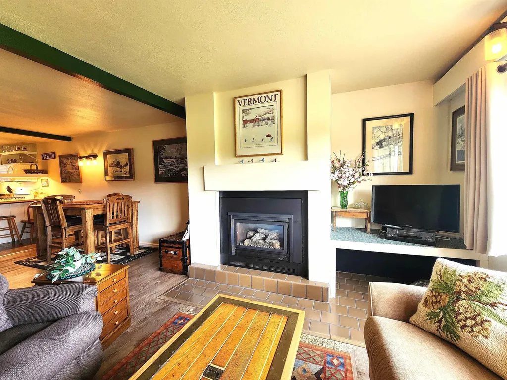 210 Village Green Drive Stowe VT 05672