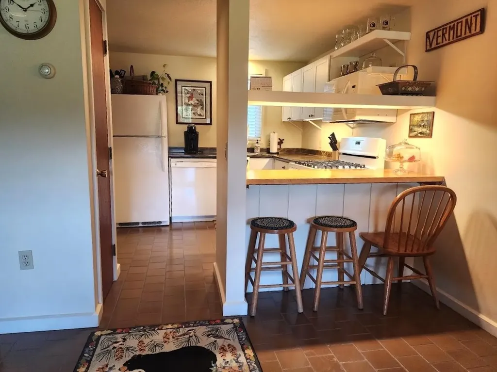 210 Village Green Drive Stowe VT 05672