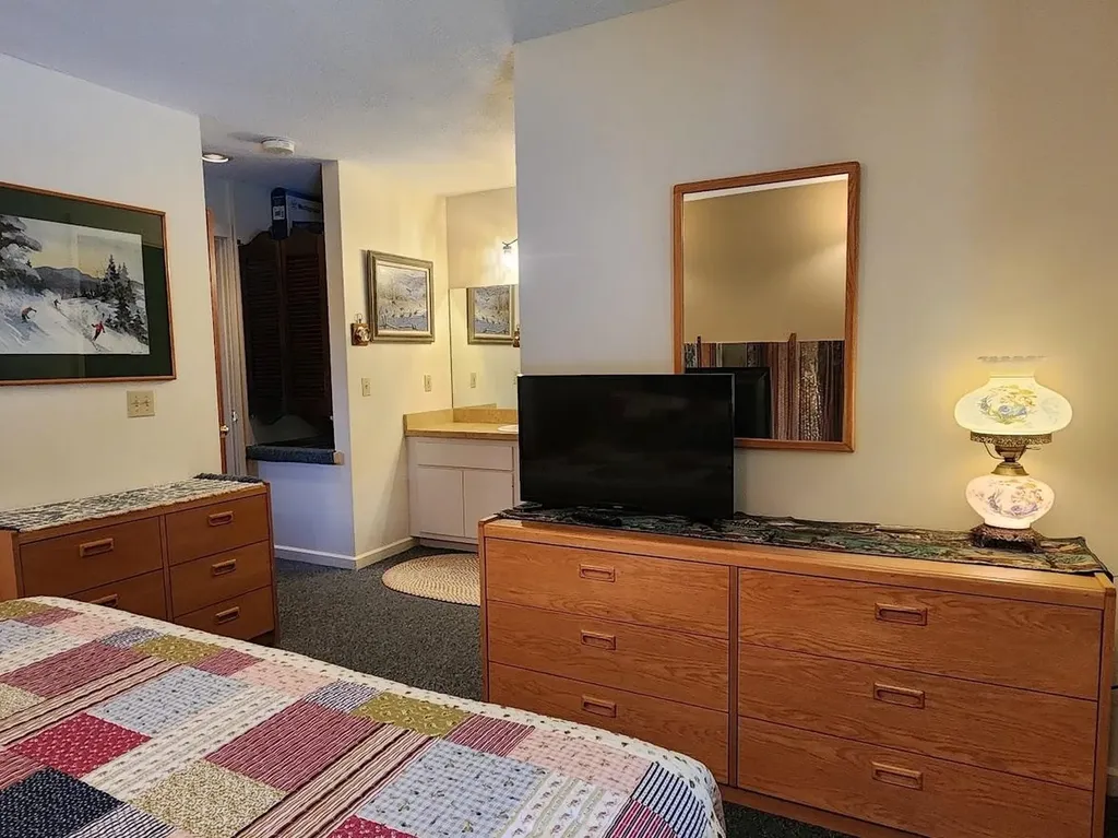 210 Village Green Drive Stowe VT 05672