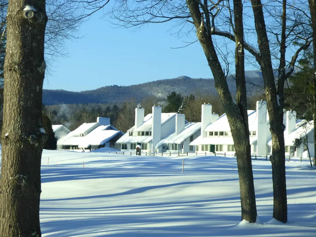 210 Village Green Drive Stowe VT 05672