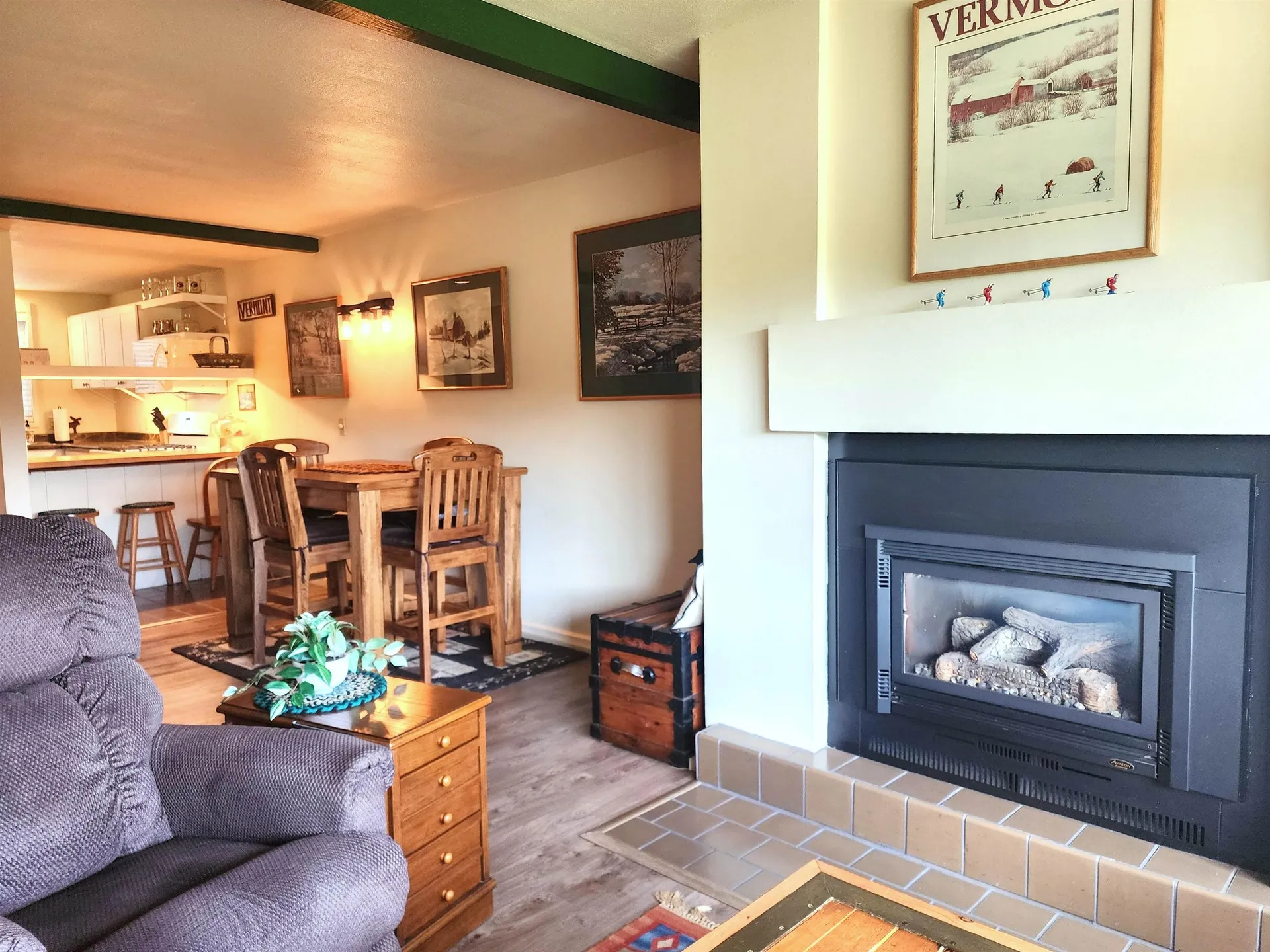 210 Village Green Drive Stowe VT 05672