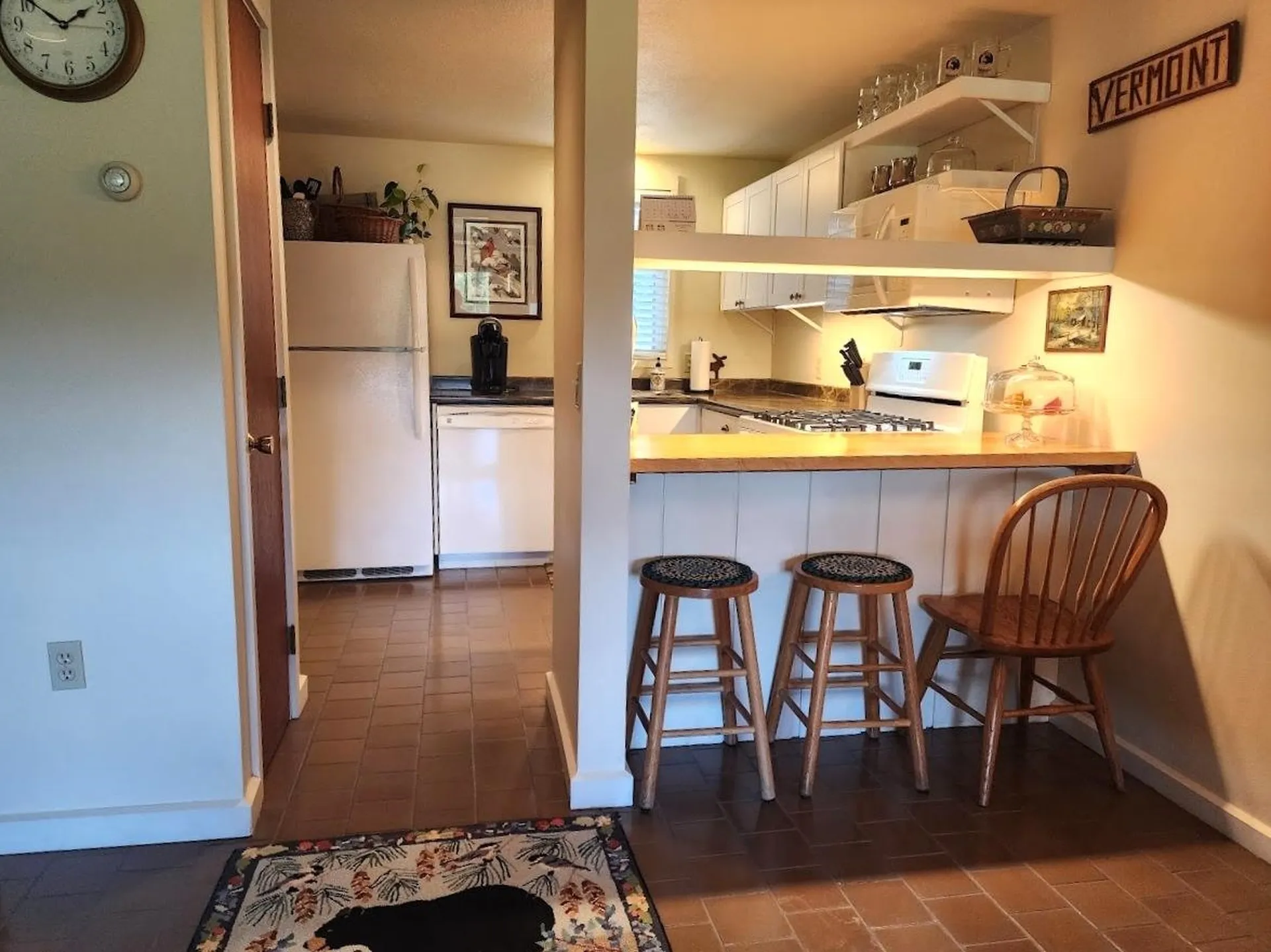 210 Village Green Drive Stowe VT 05672