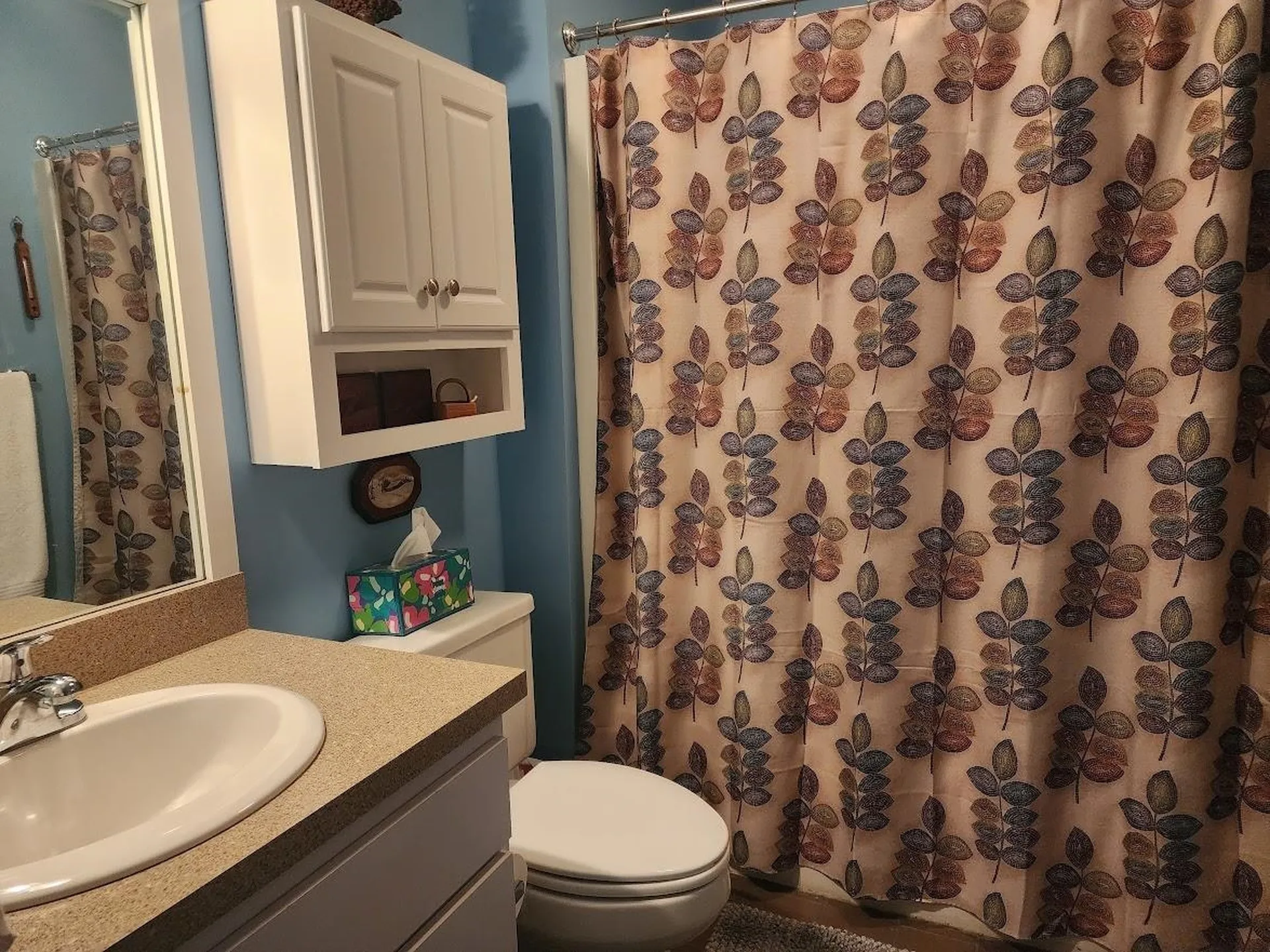 210 Village Green Drive Stowe VT 05672