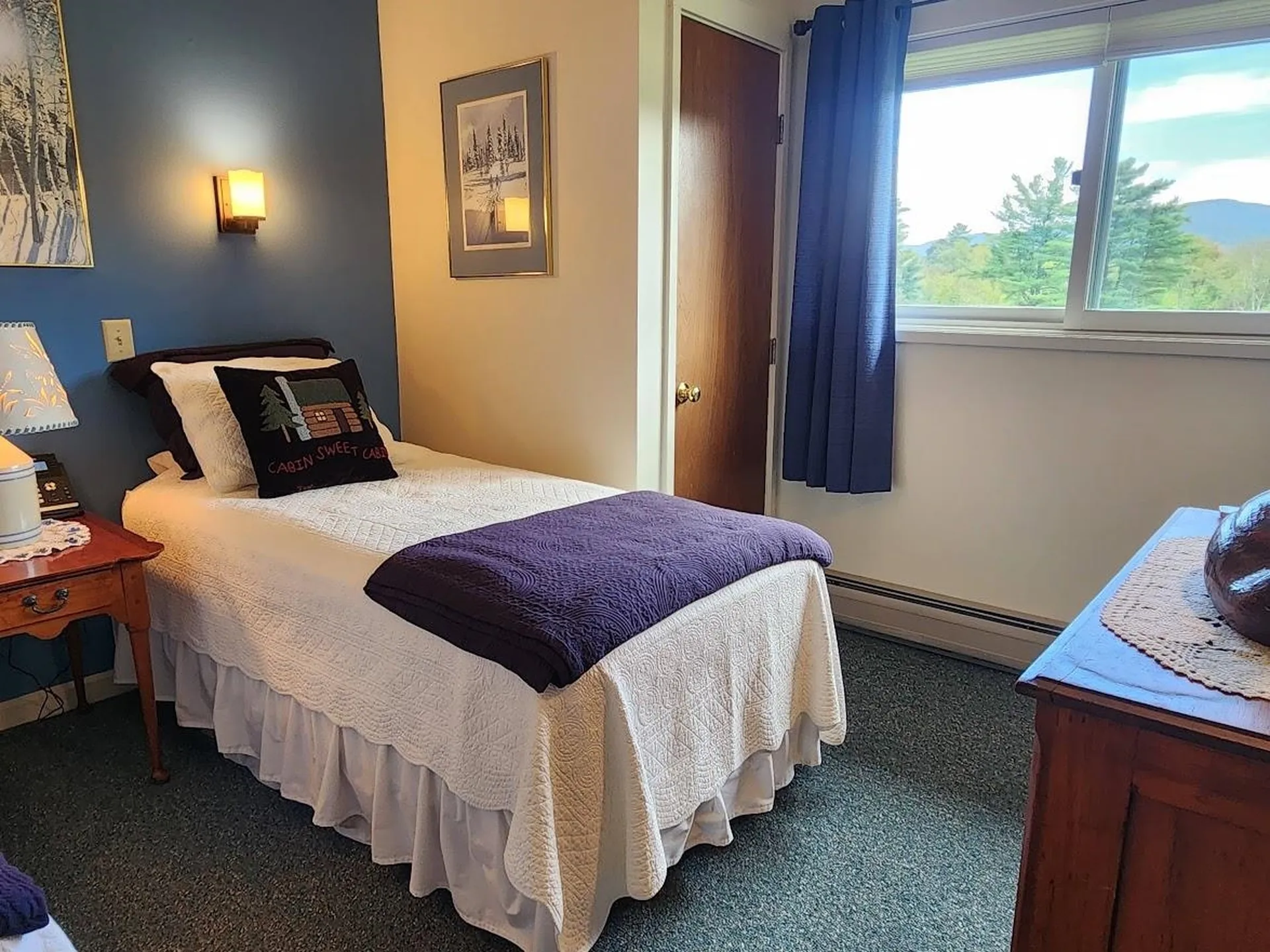 210 Village Green Drive Stowe VT 05672