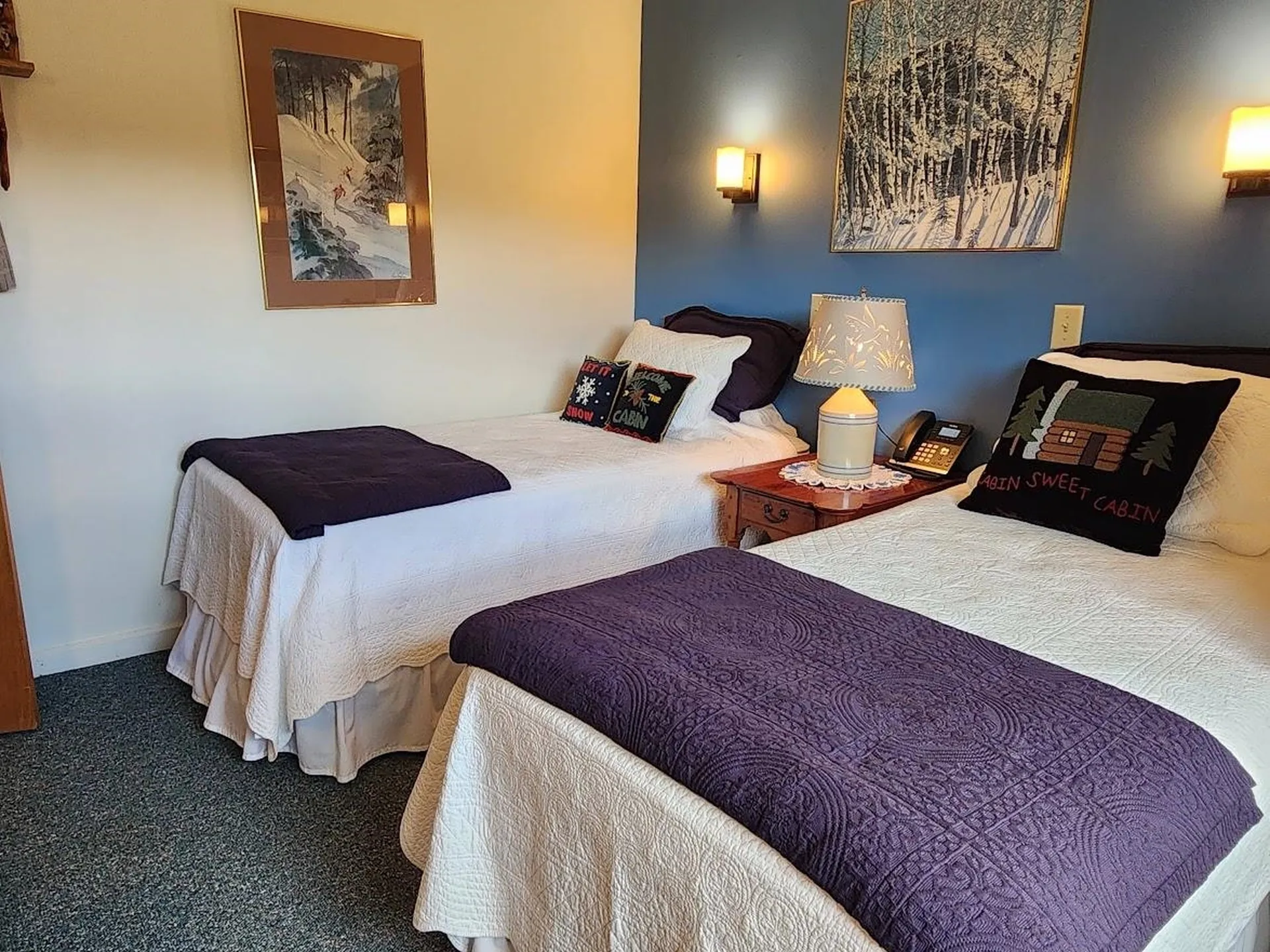 210 Village Green Drive Stowe VT 05672