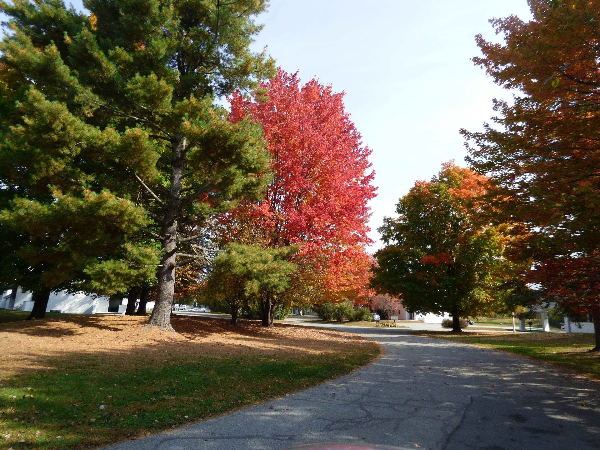 210 Village Green Drive Stowe VT 05672