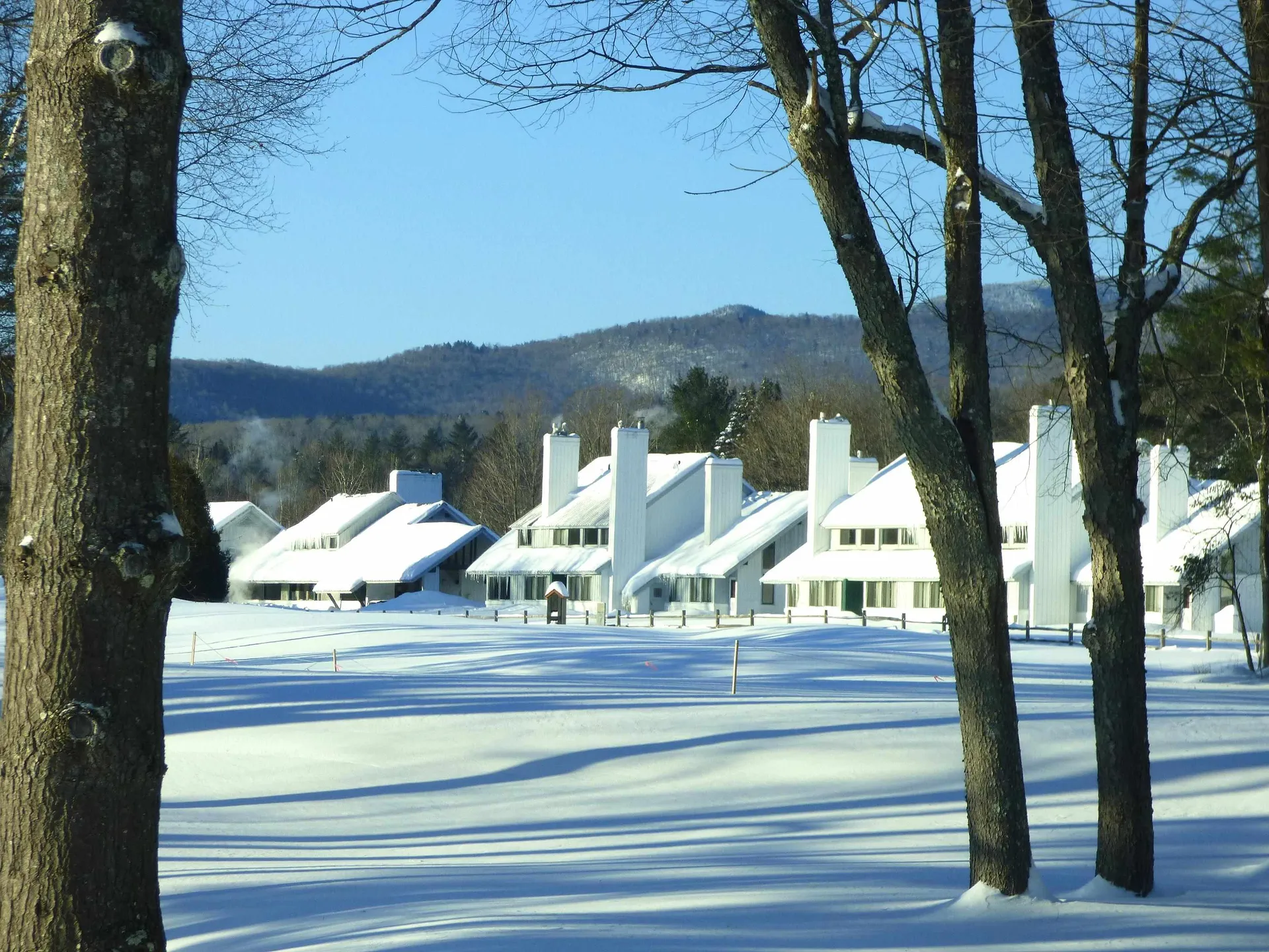 210 Village Green Drive Stowe VT 05672