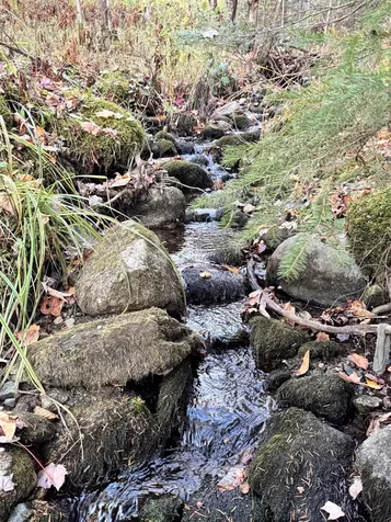 178 Ingerson Road Jefferson NH 03583