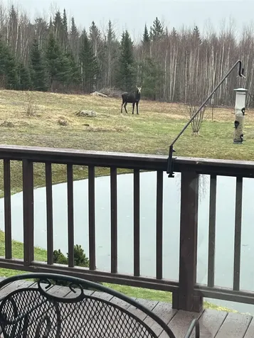 178 Ingerson Road Jefferson NH 03583