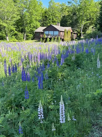 178 Ingerson Road Jefferson NH 03583