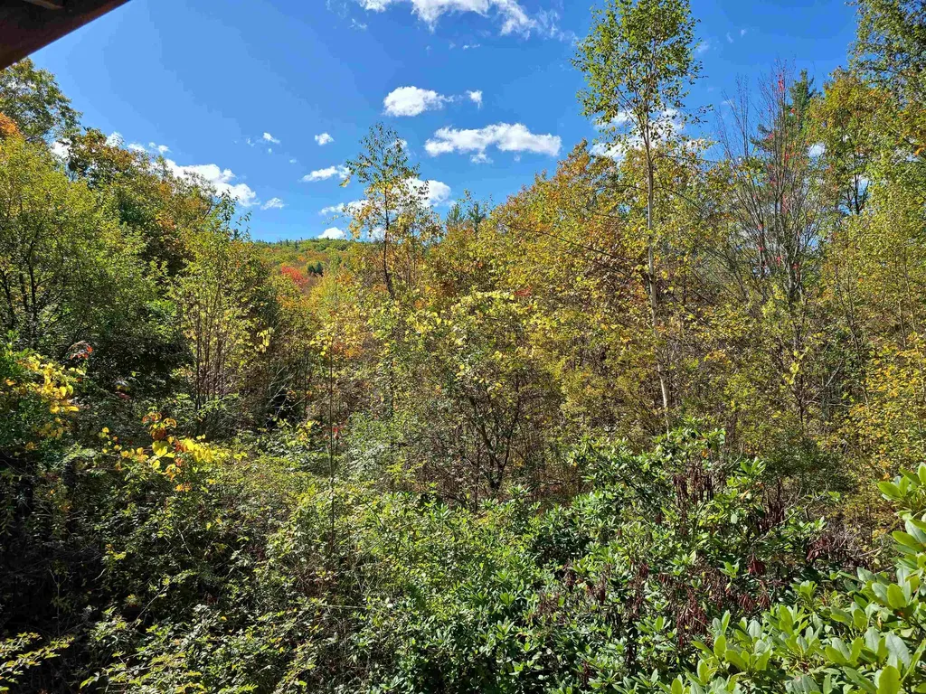 119 Lempster Coach Road Goshen NH 03752