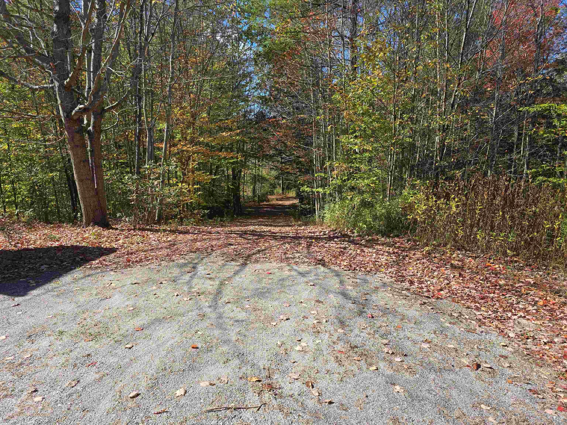 119 Lempster Coach Road Goshen NH 03752