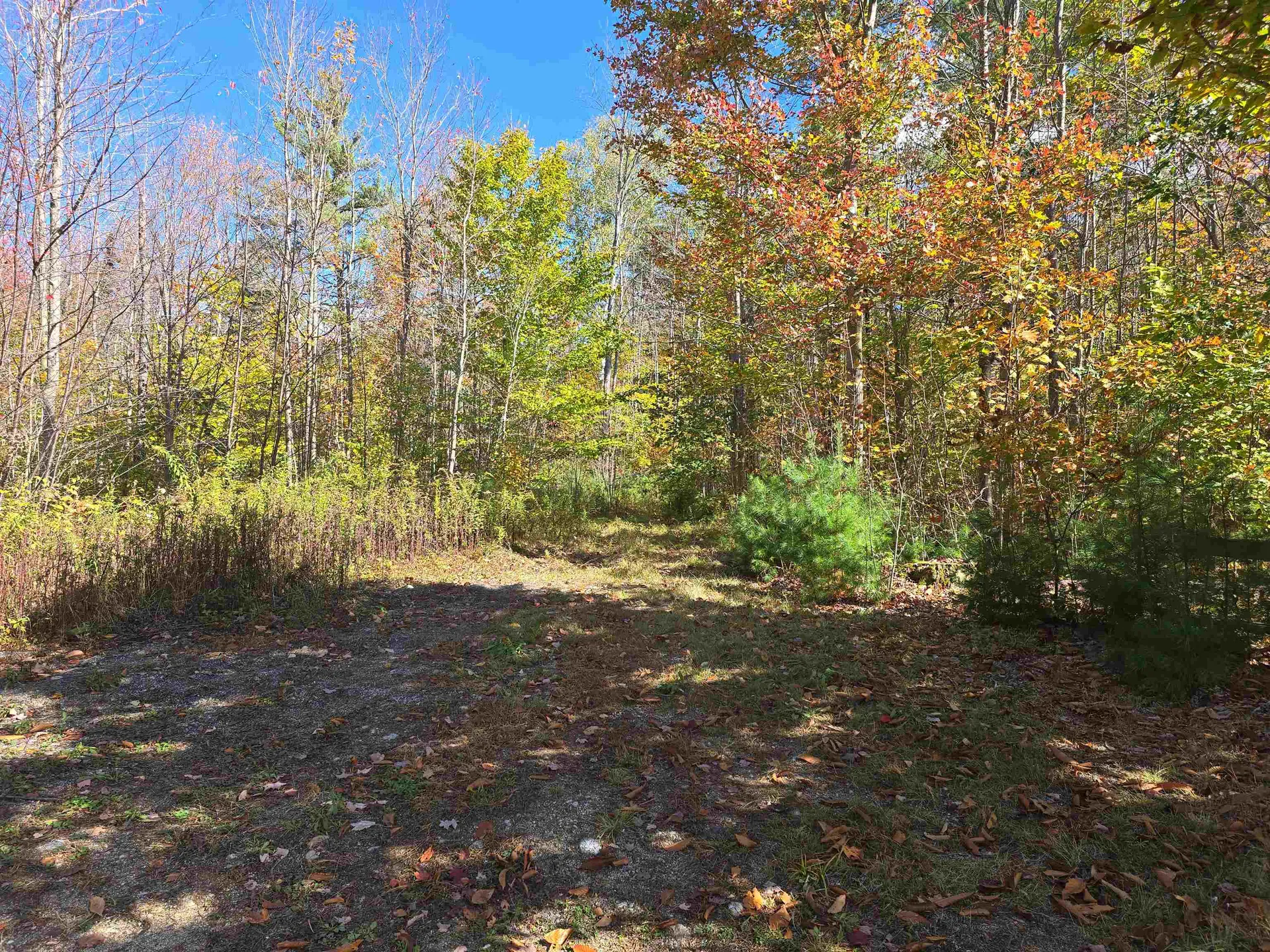 119 Lempster Coach Road Goshen NH 03752