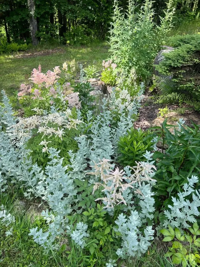 858 Alpine View Road Stowe VT 05672