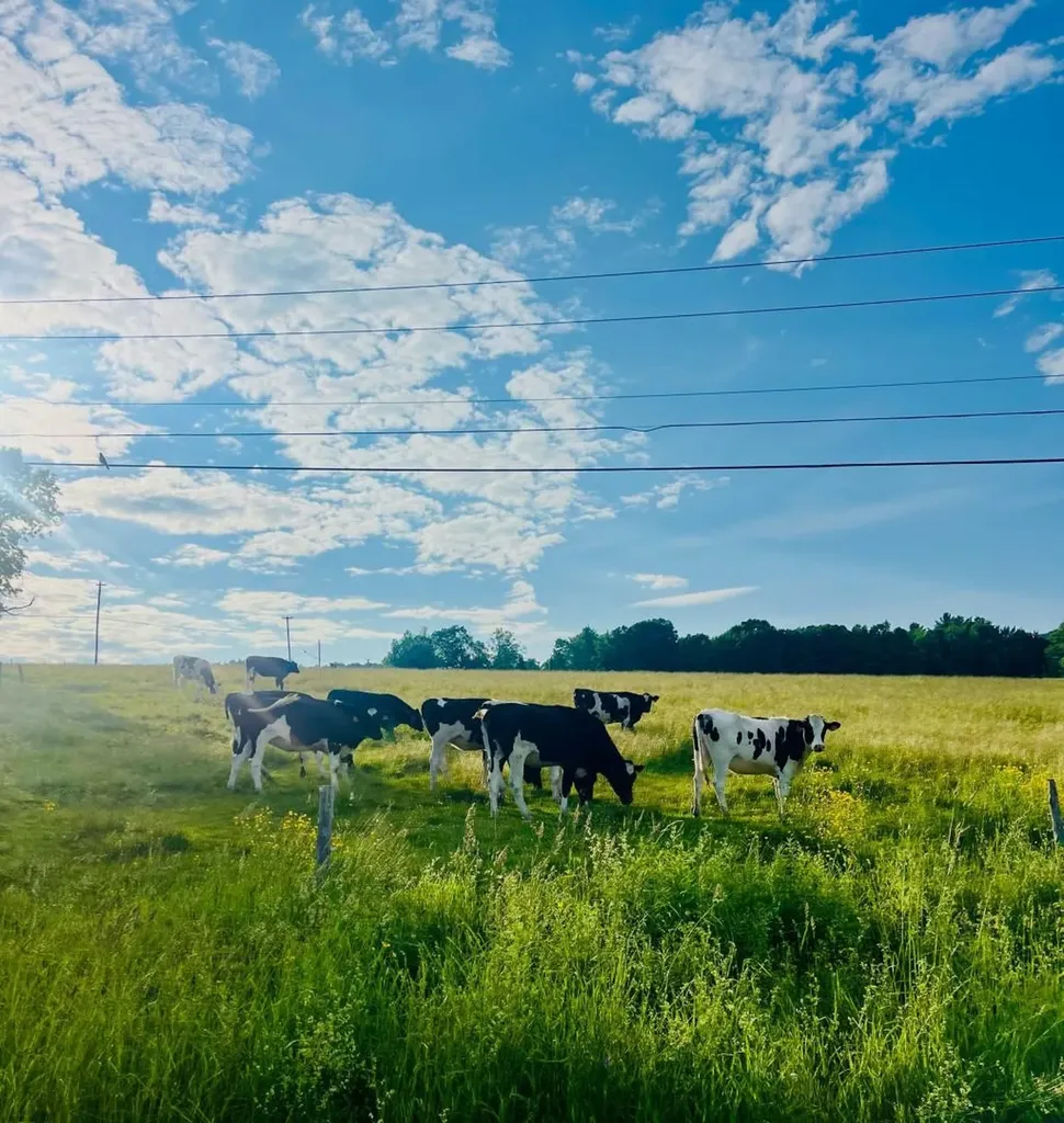 858 Alpine View Road Stowe VT 05672