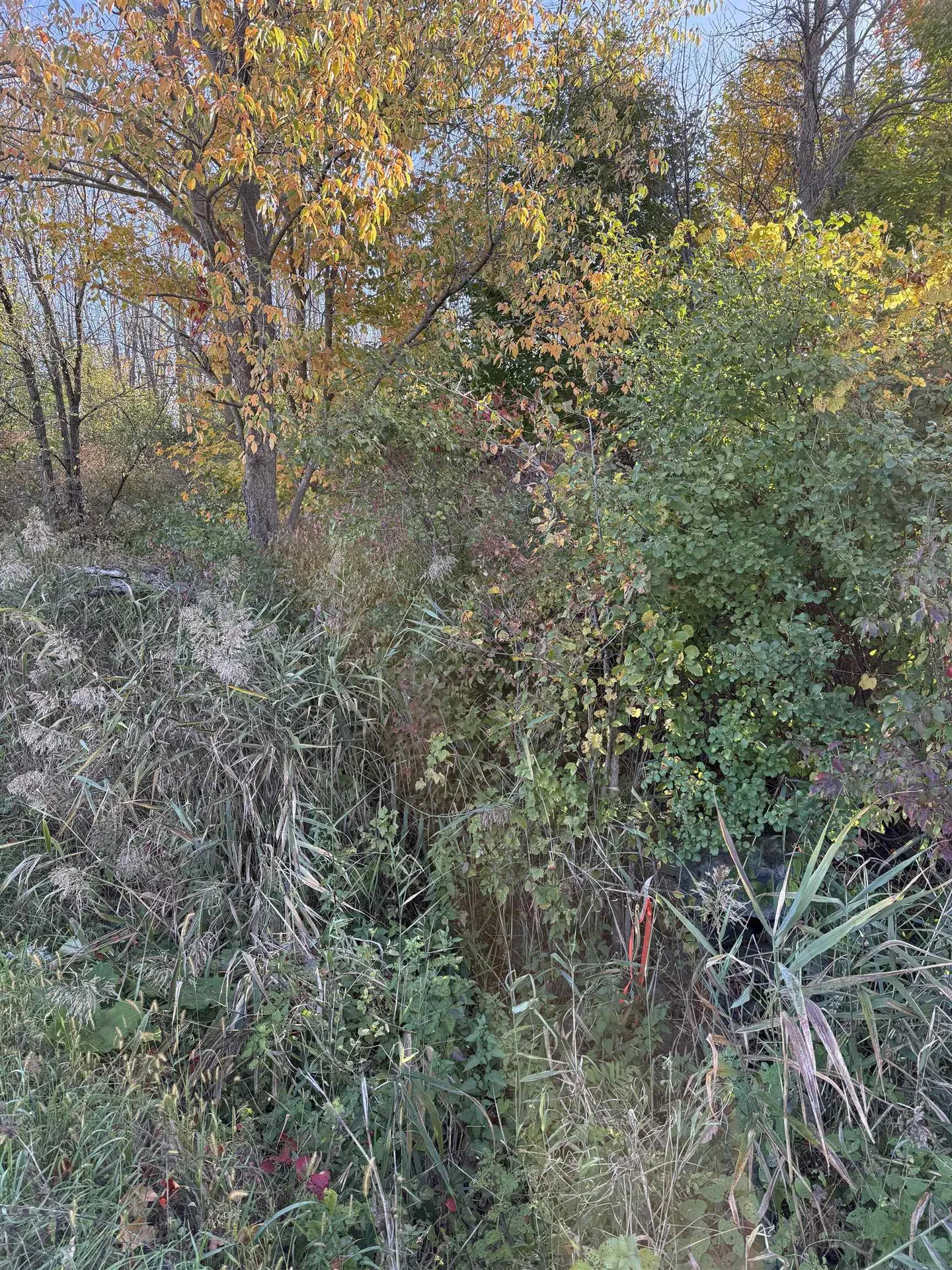 512 Middle Road Swanton VT 05488