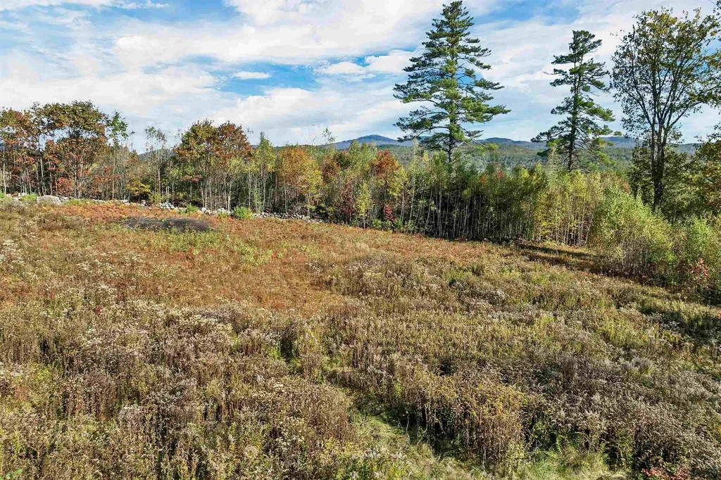 44 Williams Hill Road Grafton NH 03240